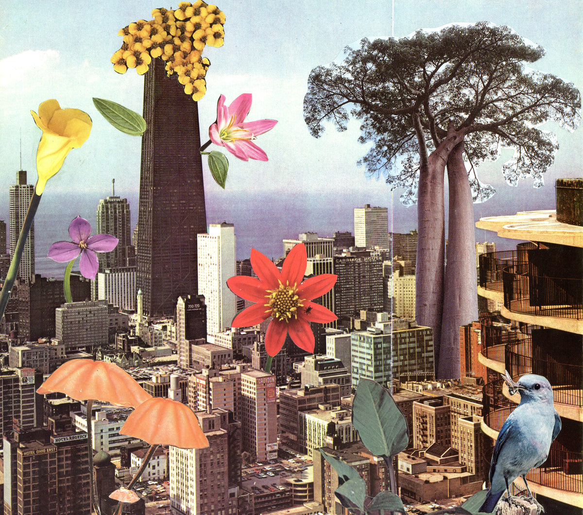 Forest Awakening - Original collage