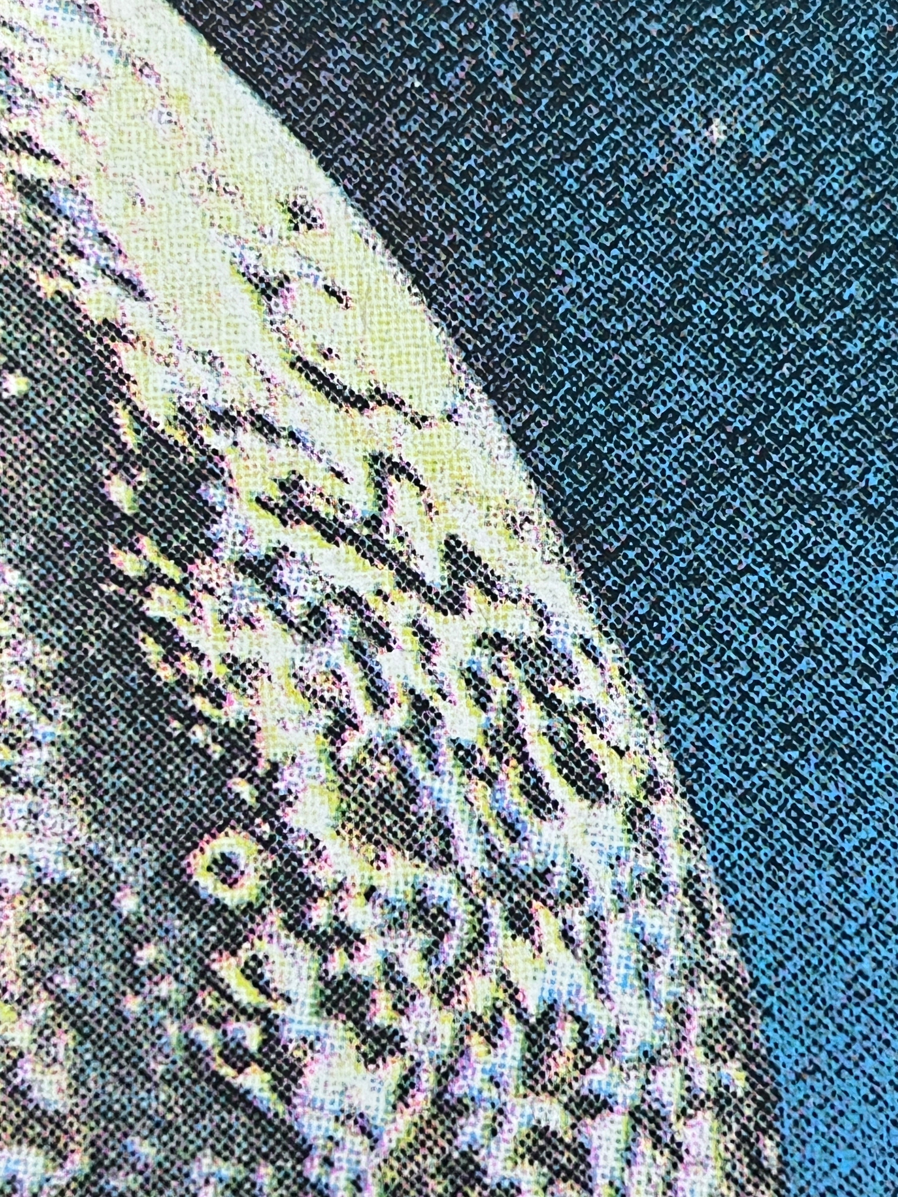 Long Trip - Risograph Print